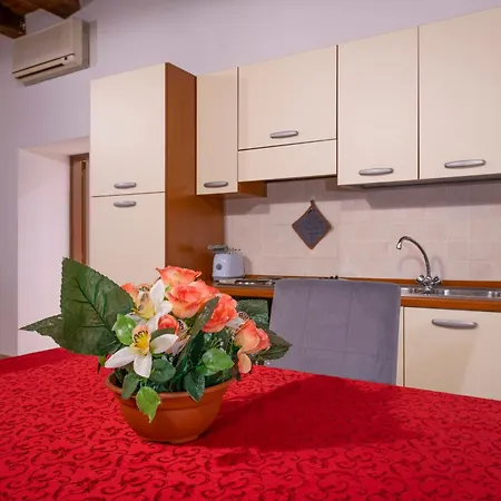 Bed & Breakfast Arena Mazzini Centro *